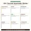 List of 10+ sacred Ayurvedic herbs with their benefits on a white background.